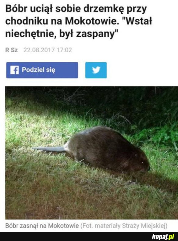 WAŻNY NEWS