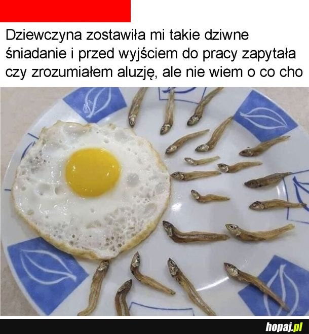 Szkoda chłopa