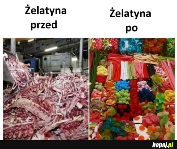 Żelatyna