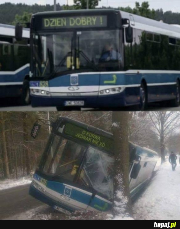 Wesoły autobus