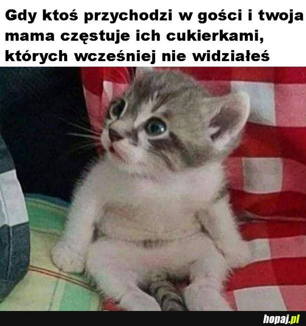 Ale jak to