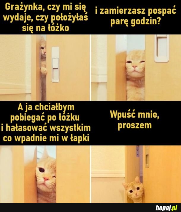 Wpuść mnie, proszem