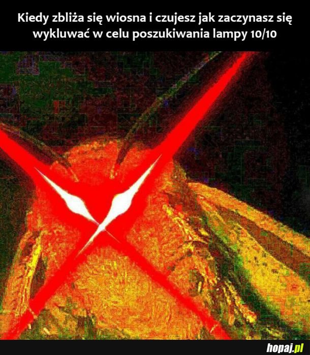 Już wkrótce 