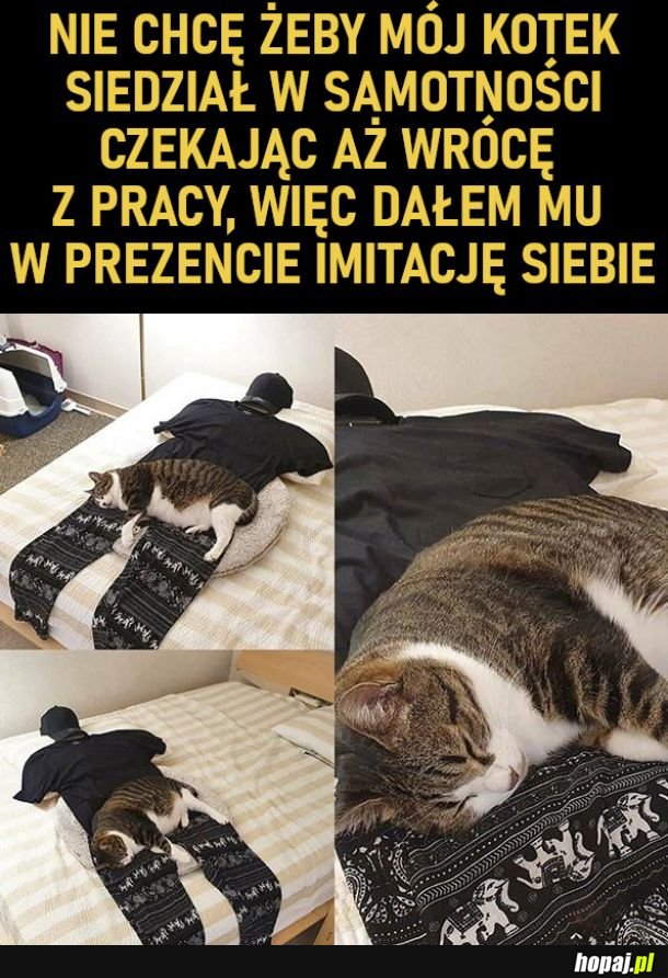 Prezent dla kitku