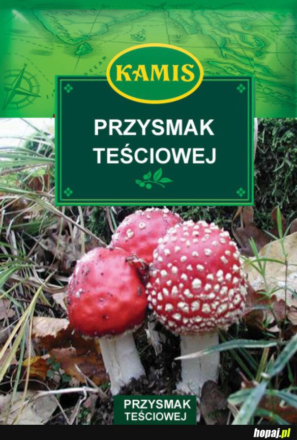 PRZYSMAK KAŻDEJ TEŚCIOWEJ