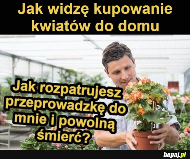 Ja naprawdę kocham kwiaty, ale one mnie nie :(