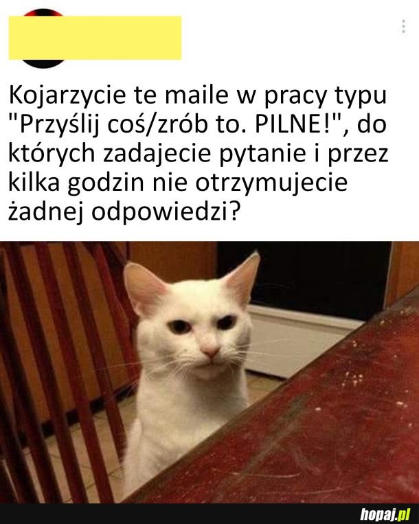 Taa, mega pilne jak widać...