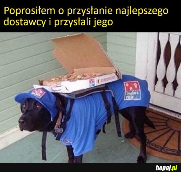 Najlepszy dostawca