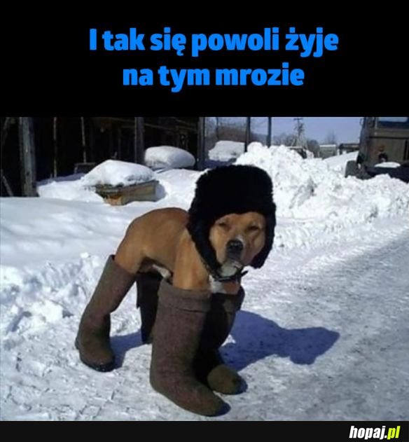 Sie żyje