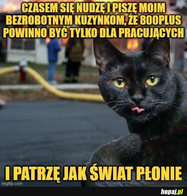 Gdy mi się nudzi.