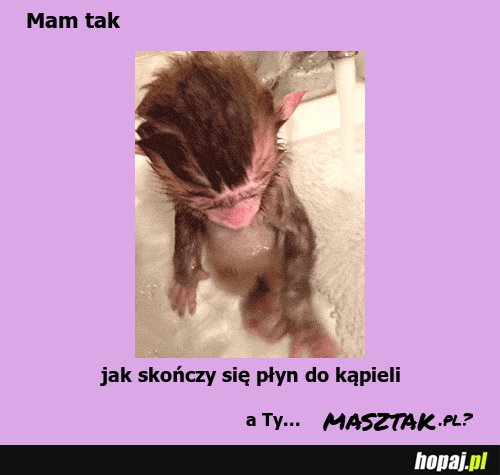 Masz tak? 