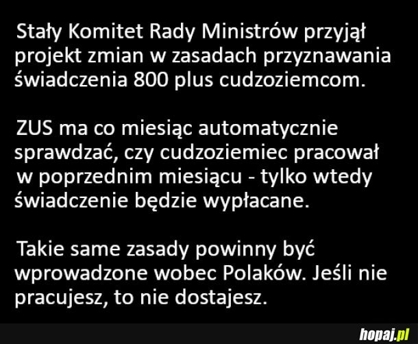 800+ powinien być tylko dla pracujących