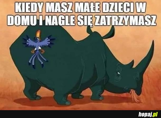 Nie nauczy się szczyl żeby się nie plątać dopóki nie nadepniesz