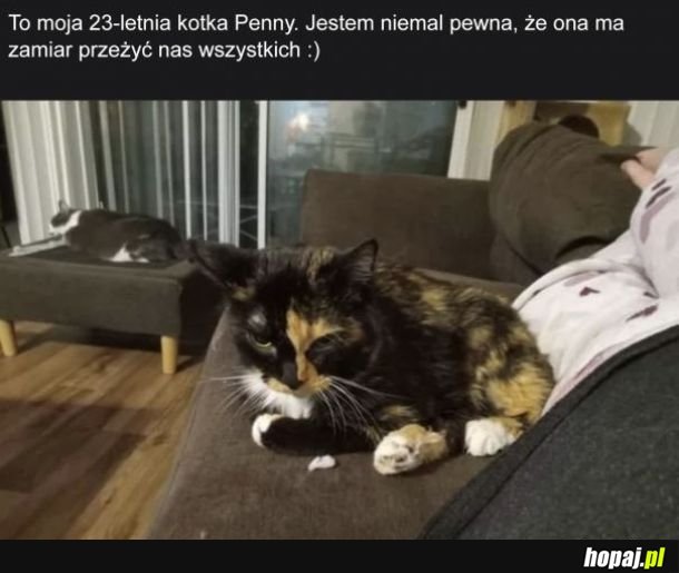 Penny
