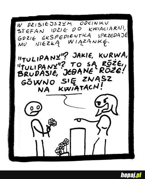 Stefan idzie do kwiaciarni