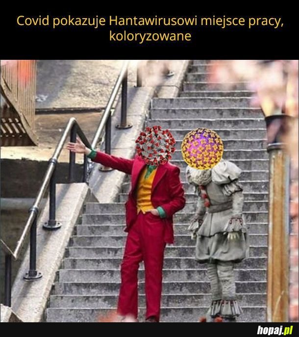 Zapraszam