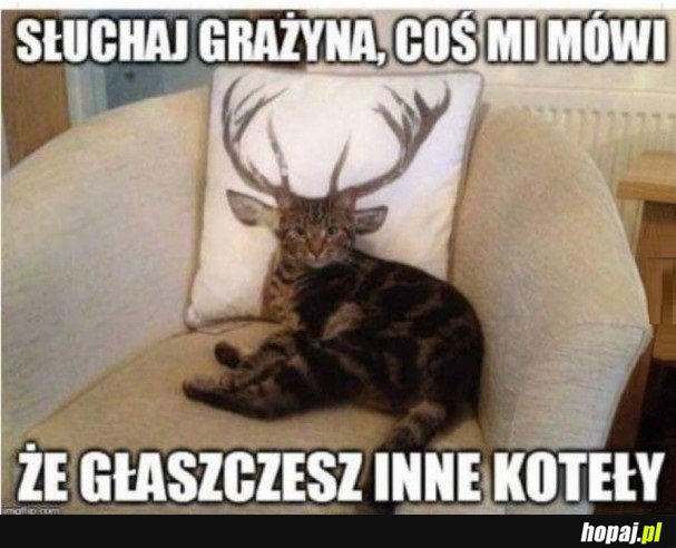 GRAŻYNA, MUSIMY POROZMAWIAĆ