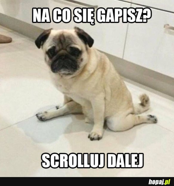 JEDŹ DALEJ