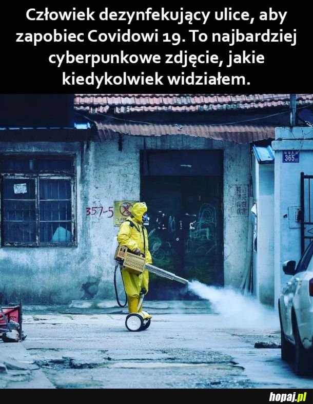 Co za widok...
