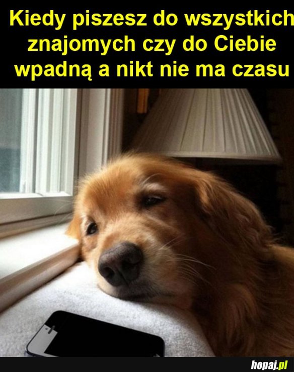 Kiepsko