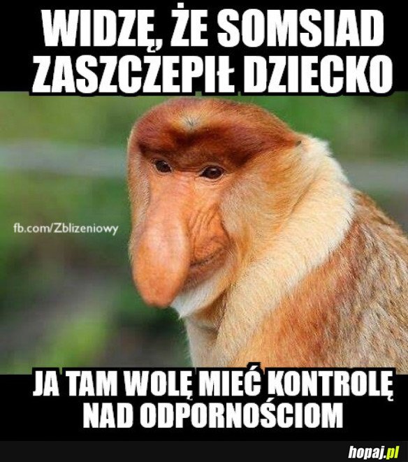 CO TAM U SOMSIADA