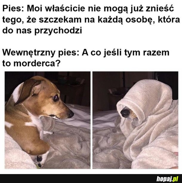 ZA KAŻDYM RAZEM