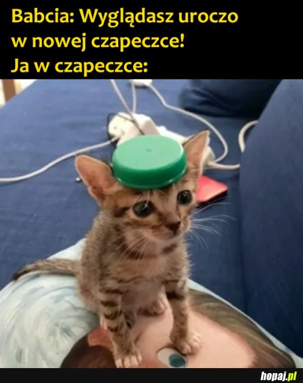 Czapeczka