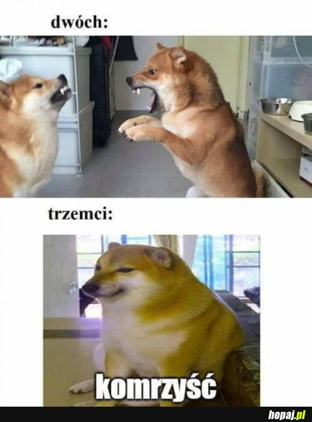 Przysłowie
