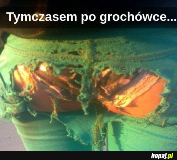 TYMCZASEM PO GROCHÓWCE