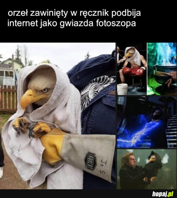 Ultra mega orzeł zrobił to po maksie