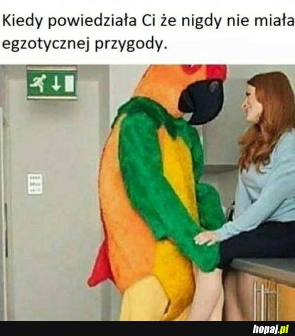 EGZOTYCZNA PRZYGODA