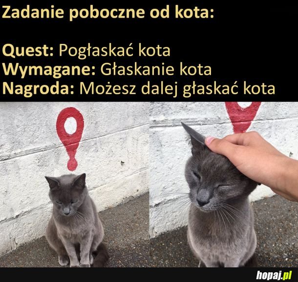 Zadanie poboczne