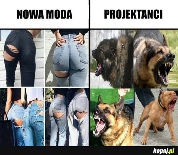 MODA