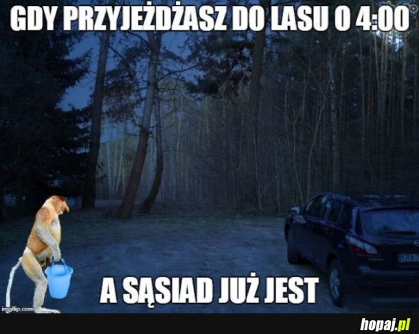 DZIĘKI SĄSIAD