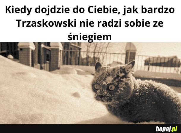 TVP jest jak kokaina