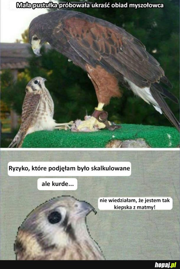 Obliczenia się nie zgadzają