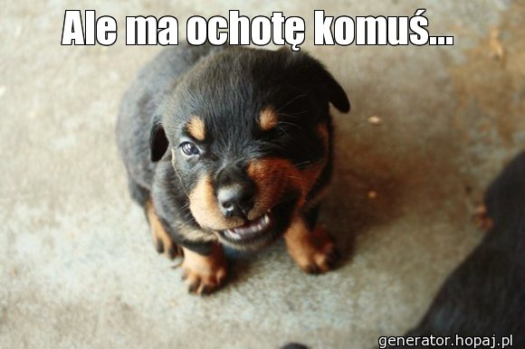 Ale ma ochotę komuś...