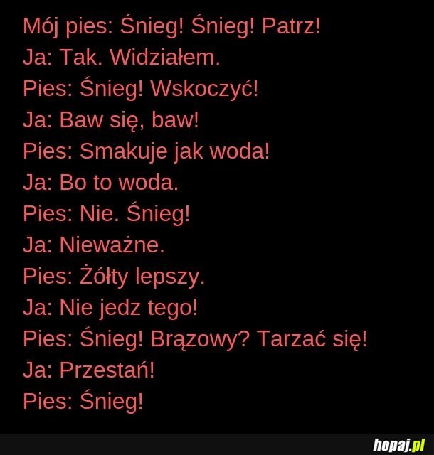 Pies i śnieg