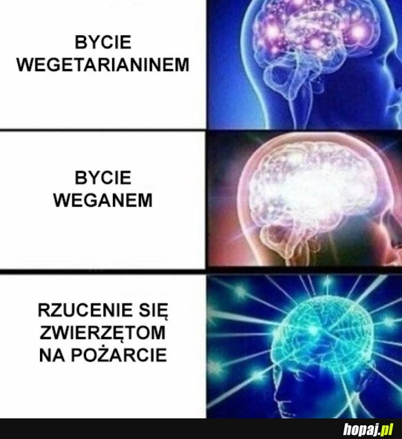 MÓZG ROZ*EBANY