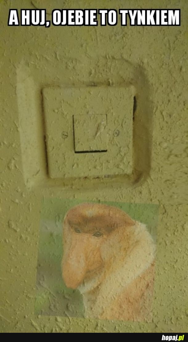 JANUSZ INŻYNIER XD