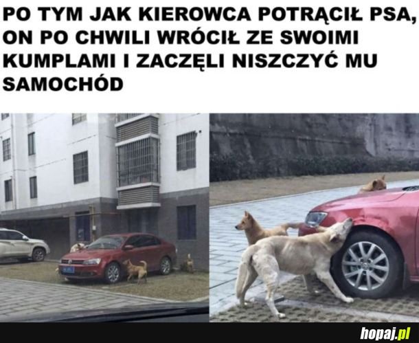 Karma