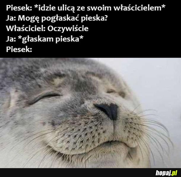  Głaskanie pieska 
