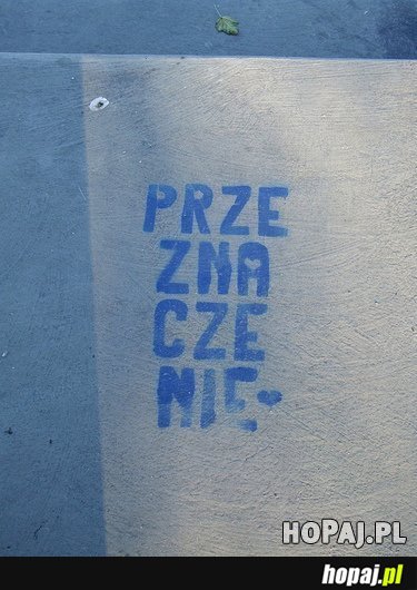 Przeznaczenie