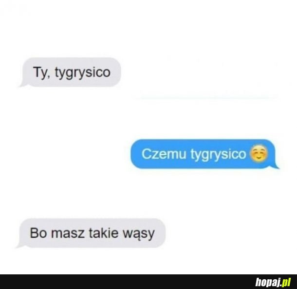 Komplemenciarz