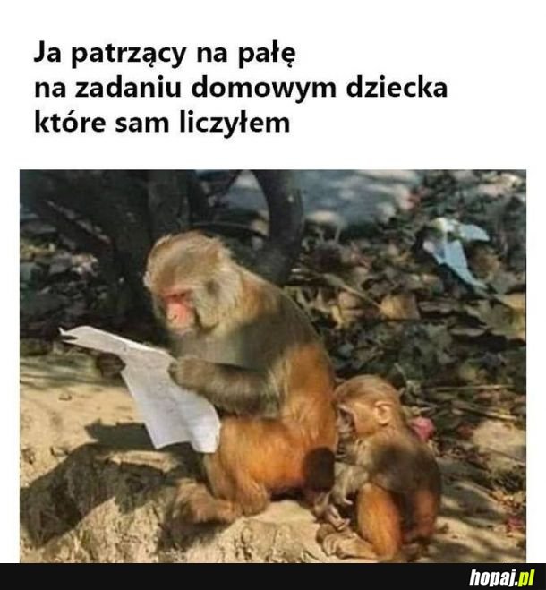 Czego oni cholera teraz uczo w tej szkole