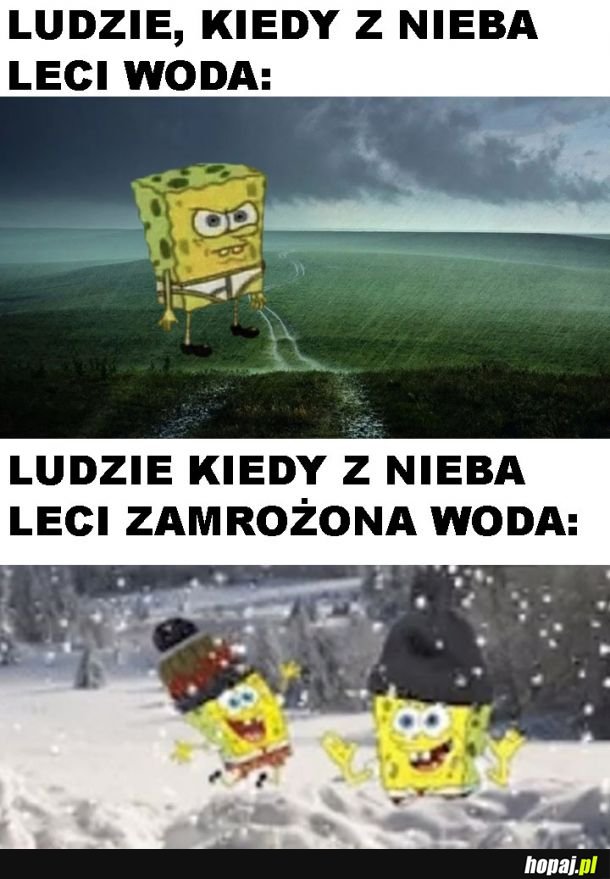 Śnieg