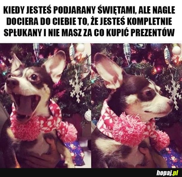 ŚWIĄTECZNE PODNIECENIE