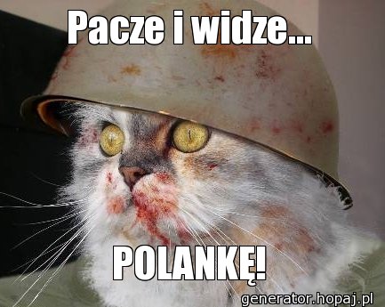 Pacze i widze...