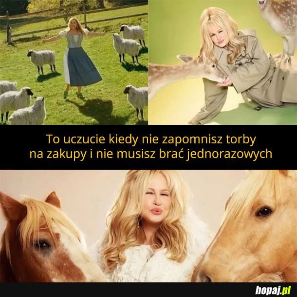Czuję zielono