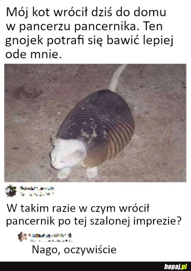 Dziwny powrót